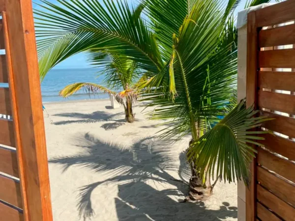 Hotel_Camino_Palmero_General04